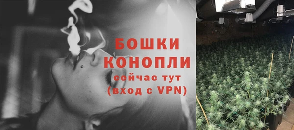 индика Аркадак