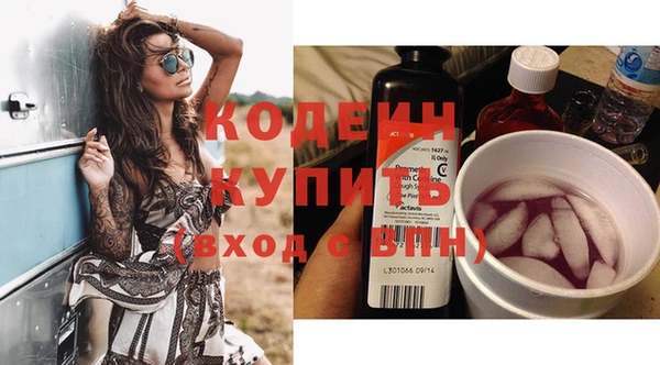 индика Аркадак