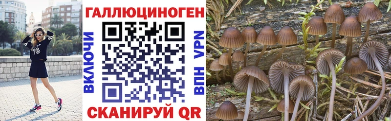 Псилоцибиновые грибы MAGIC MUSHROOMS Набережные Челны