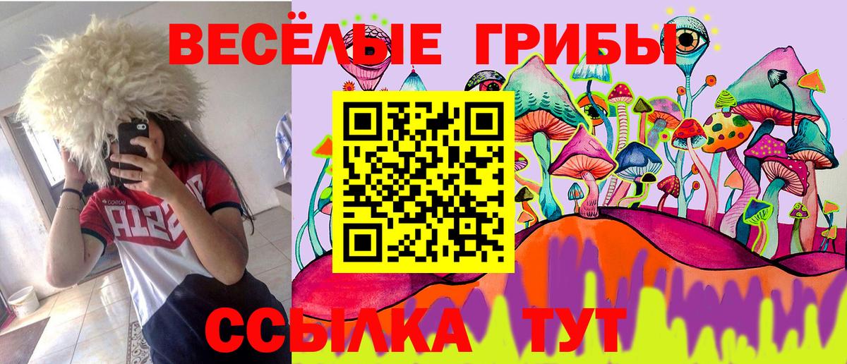 Галлюциногенные грибы прущие грибы  Галлюциногенные грибы MAGIC MUSHROOMS  Вход с VPN  Набережные Челны 